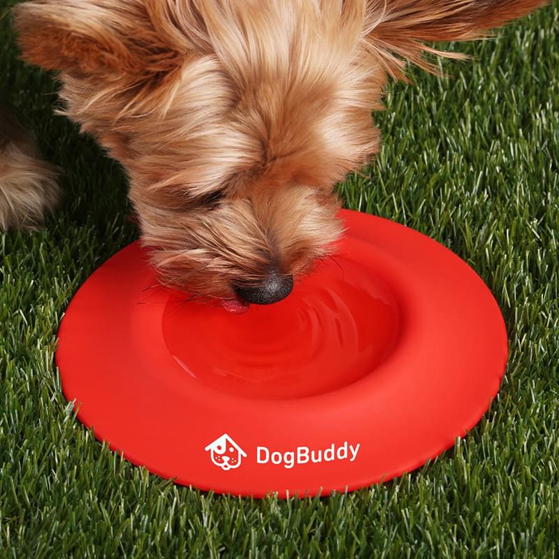 2-in-1 Silicone Pet Flyer & Drinking Bowl